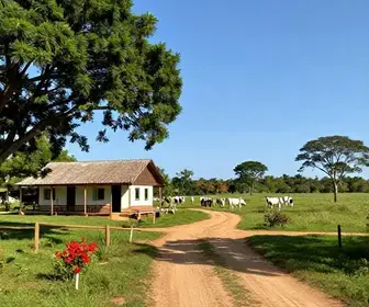 6 melhores opções de turismo rural em Caruaru: guia atualizado 6 melhores opções de turismo rural em Caruaru: guia atualizado