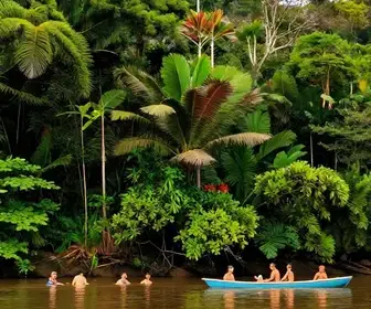 Atividades Imperdíveis em Bonito, PE: Descubra o Que Fazer Atividades Imperdíveis em Bonito, PE: Descubra o Que Fazer