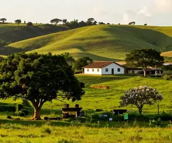 Descubra a Comunidade do Capoeirão: Turismo Rural em Caruaru Descubra a Comunidade do Capoeirão: Turismo Rural em Caruaru