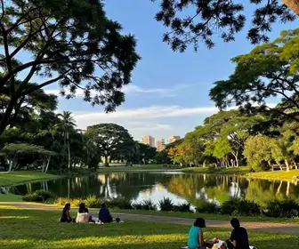 Descubra o Parque Ambientalista Severino Montenegro em Caruaru