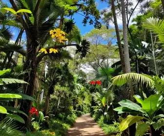 Descubra o Parque Natural Municipal Professor João Vasconcelos Sobrinho em Caruaru - PE