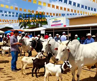 Feira do Gado de Caruaru: Um Circuito de Tradições e Cultura Feira do Gado de Caruaru: Um Circuito de Tradições e Cultura