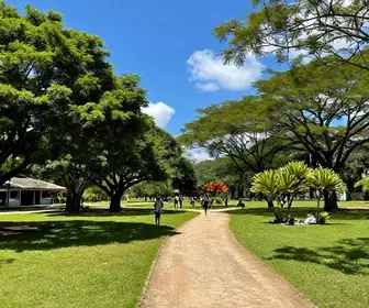 Os 8 melhores parques e trilhas em Caruaru: guia completo