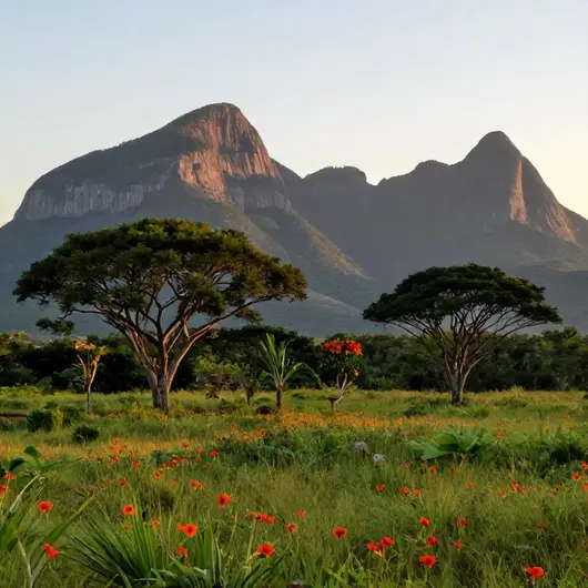 Turismo Serra dos Cavalos